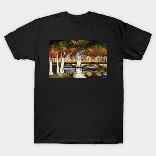 Walk in the Park T-Shirt